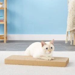Scratch Lounge Reversible Replacement Scratch Floor Cat Toy -Cat Supplies 64395 PT5. AC SS1800 V1525720008
