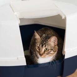 IRIS USA Hooded Corner Cat Litter Box With Front Door Flap -Cat Supplies 645502 PT8. AC SS1800 V1685468316