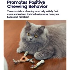 Catstages Dental Cat Chew Toy With Catnip, Color Varies 12 Catstages Dental Cat Chew Toy With Catnip, Color Varies -Cat Supplies 64661 PT3. AC SS1800 V1636497150