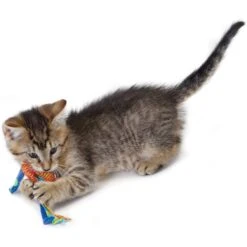 Catstages Dental Cat Chew Toy With Catnip, Color Varies 14 Catstages Dental Cat Chew Toy With Catnip, Color Varies -Cat Supplies 64661 PT5. AC SS1800 V1636519583