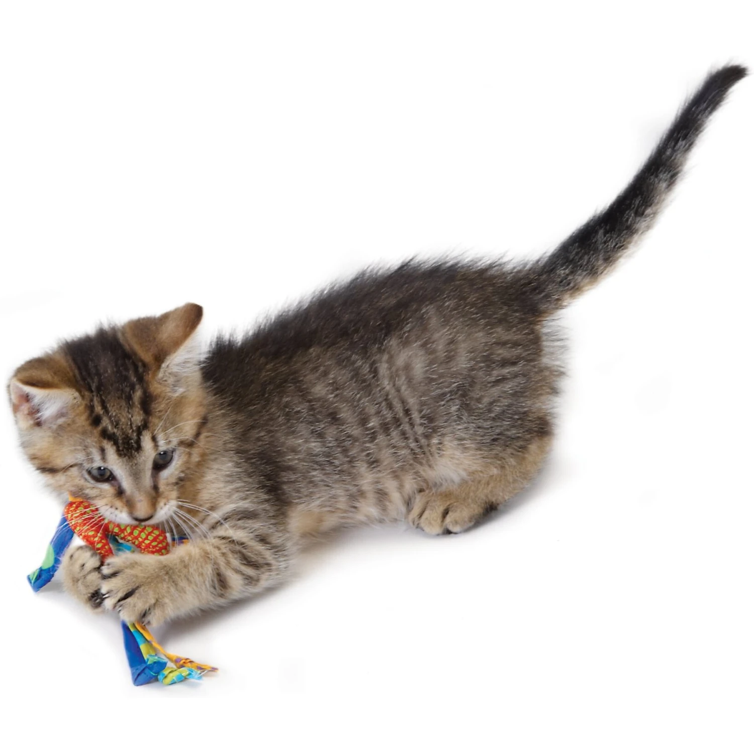 Catstages Dental Cat Chew Toy With Catnip, Color Varies 8 Catstages Dental Cat Chew Toy With Catnip, Color Varies - Image 6