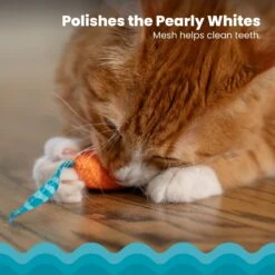 Catstages Mice Cat Chew Toy With Catnip 11 Catstages Mice Cat Chew Toy With Catnip -Cat Supplies 64672 PT2. AC SS1800 V1636506377