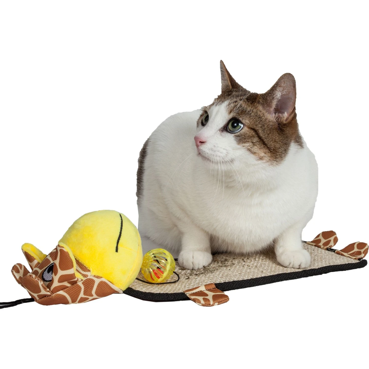 Pet Life Paw-Pleasant Eco-Natural Sisal & Jute Hanging Carpet Kitty Cat Scratcher & Toy 5 Pet Life Paw-Pleasant Eco-Natural Sisal & Jute Hanging Carpet Kitty Cat Scratcher & Toy - Image 3