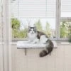 Coziwow Cat Window Perch & Windowsill Bed With Soft Cushion -Cat Supplies 671494 MAIN. AC SS1800 V1672155154