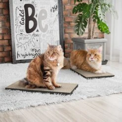 Way Basics Eco ZBoard Premium Cat Scratcher, 2 Count -Cat Supplies 675390 PT2. AC SS1800 V1665779430