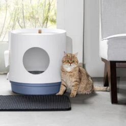 Hanamya Cat Litter Box With Scoop & Scratcher -Cat Supplies 677142 PT8. AC SS1800 V1680728860