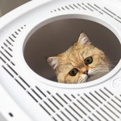 Hanamya Cat Front Entry Top Exit Cat Litter Box With Scoop, X-Large 16 Hanamya Cat Front Entry Top Exit Cat Litter Box With Scoop, X-Large -Cat Supplies 677158 PT5. AC SS1800 V1680728859