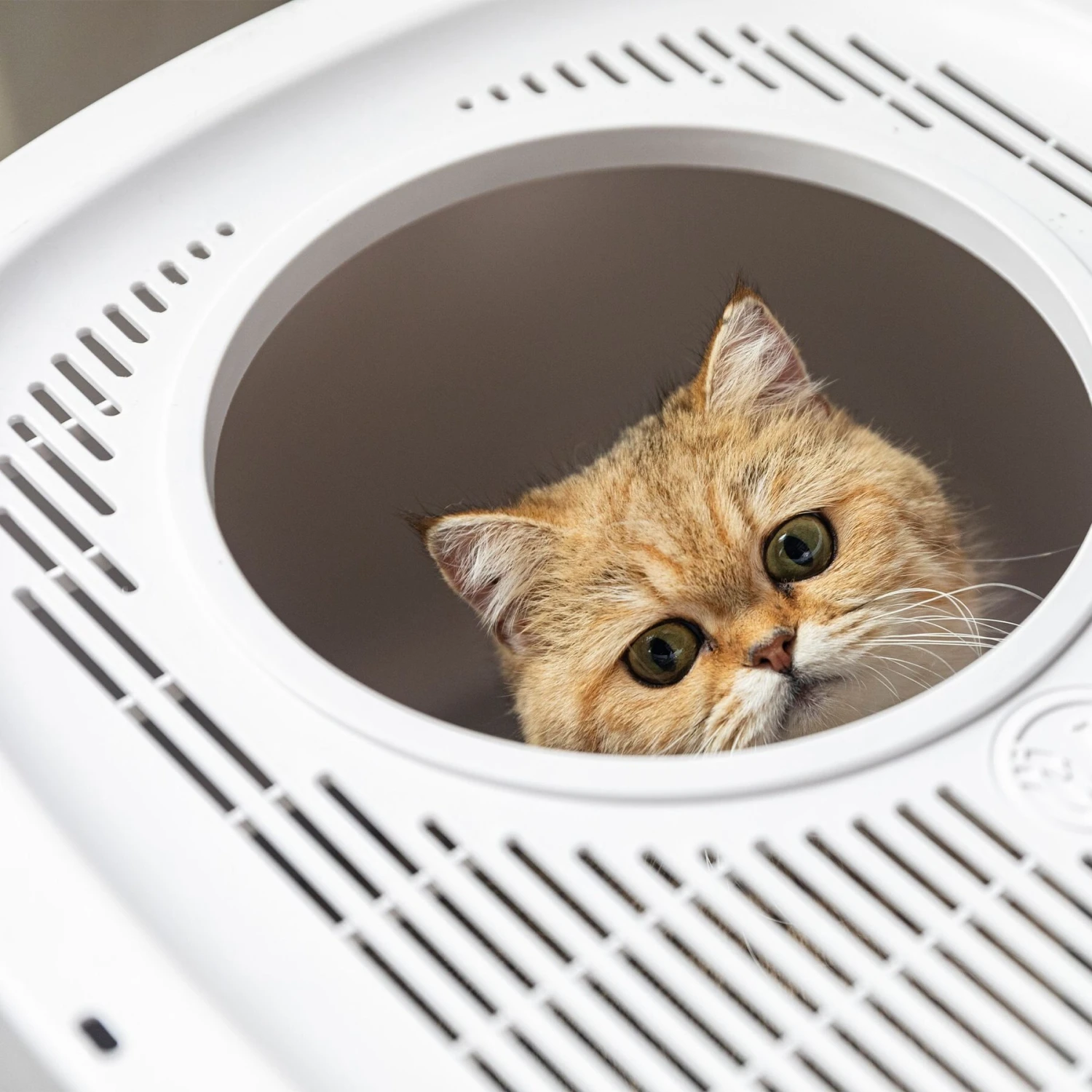 Hanamya Cat Front Entry Top Exit Cat Litter Box With Scoop, X-Large 8 Hanamya Cat Front Entry Top Exit Cat Litter Box With Scoop, X-Large - Image 6