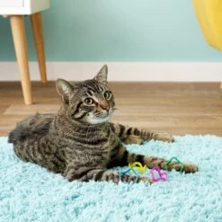 Fat Cat Crazies Playrings Cat Toy 9 Fat Cat Crazies Playrings Cat Toy -Cat Supplies 68548 PT5. AC SS1800 V1525719550