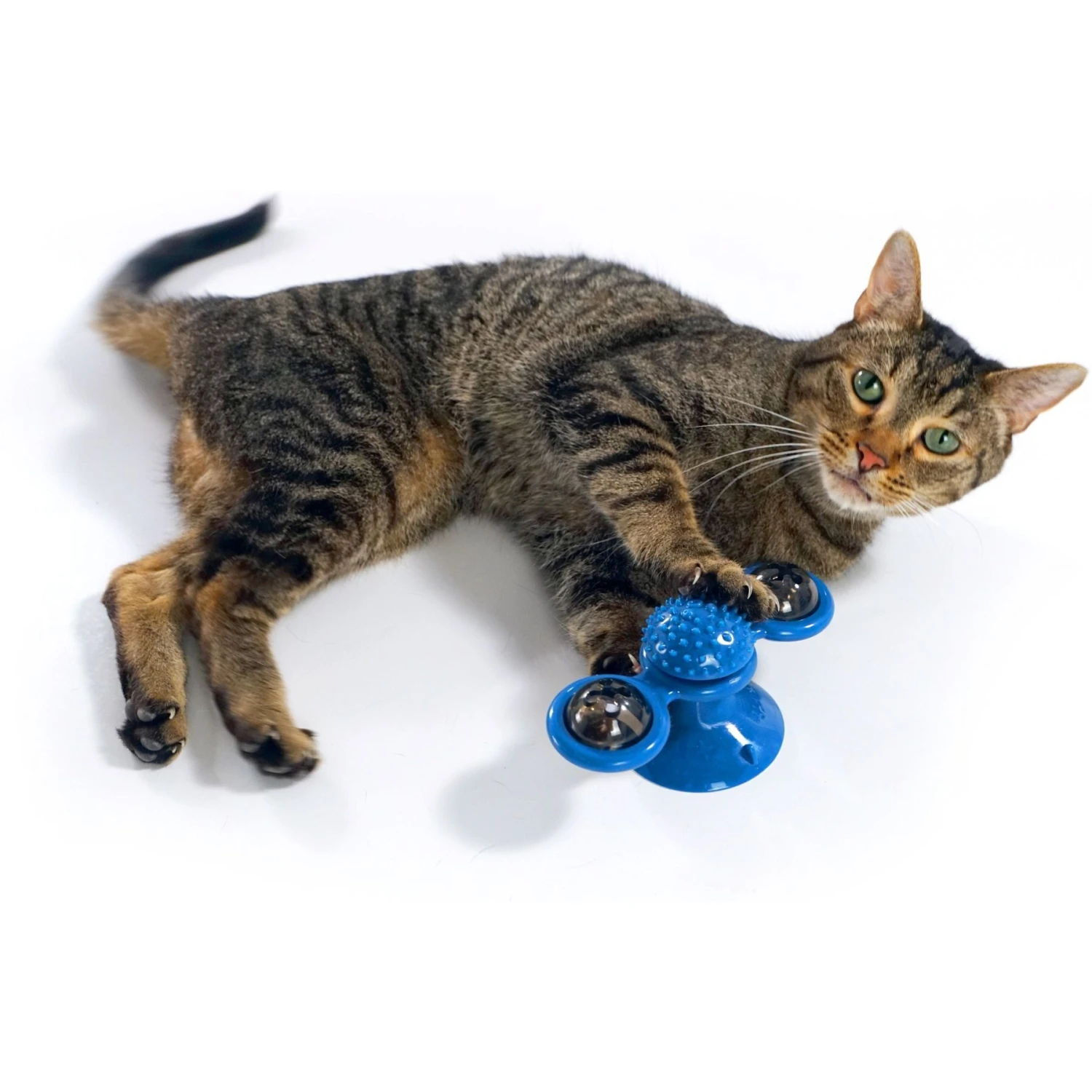 Pets Know Best Purrfect Spinner Cat Toy, Blue 7 Pets Know Best Purrfect Spinner Cat Toy, Blue - Image 5