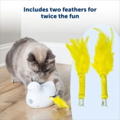 PetSafe Peek-A-Bird Replacement Feather Cat Toy, Yellow, 2 Count -Cat Supplies 696502 PT2. AC SS1800 V1667343733