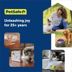 PetSafe Peek-A-Bird Replacement Feather Cat Toy, Yellow, 2 Count -Cat Supplies 696502 PT5. AC SS1800 V1667354890