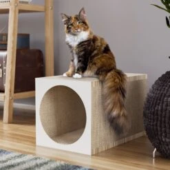 Way Basics Premium Tunnel Cat Scratcher, Medium -Cat Supplies 697206 PT2. AC SS1800 V1667948244