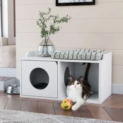 Way Basics Double Hole With 1 Door Cat House, Medium
