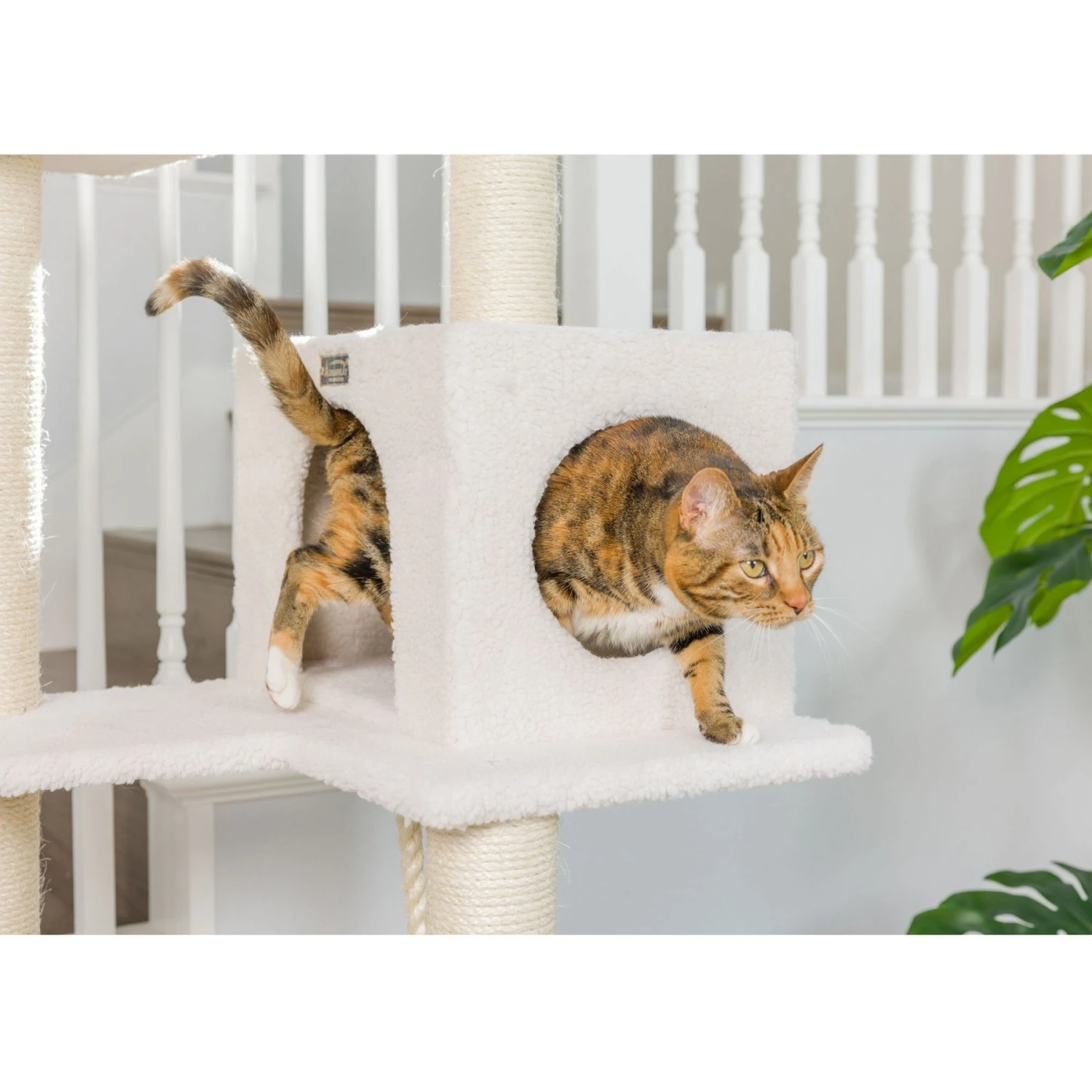 Armarkat 73-in Faux Fleece Cat Tree & Condo 6 Armarkat 73-in Faux Fleece Cat Tree & Condo - Image 4
