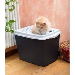 Ferplast "Jumpy" With Top Entrance Cat Litter Box, Black, Large -Cat Supplies 703926 PT5. AC SS1800 V1668458444