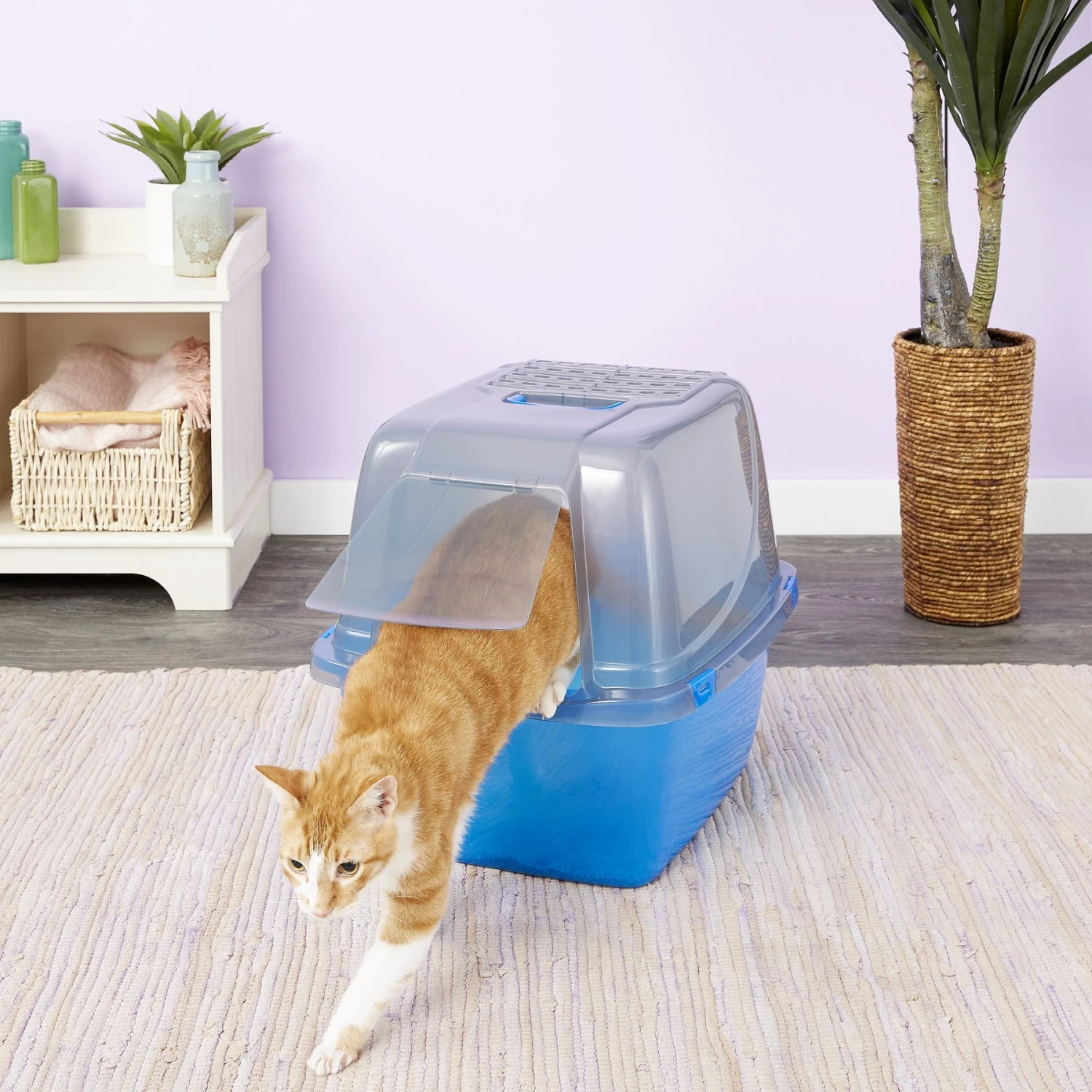 Van Ness Translucent Enclosed Cat Litter Pan 3 Van Ness Translucent Enclosed Cat Litter Pan