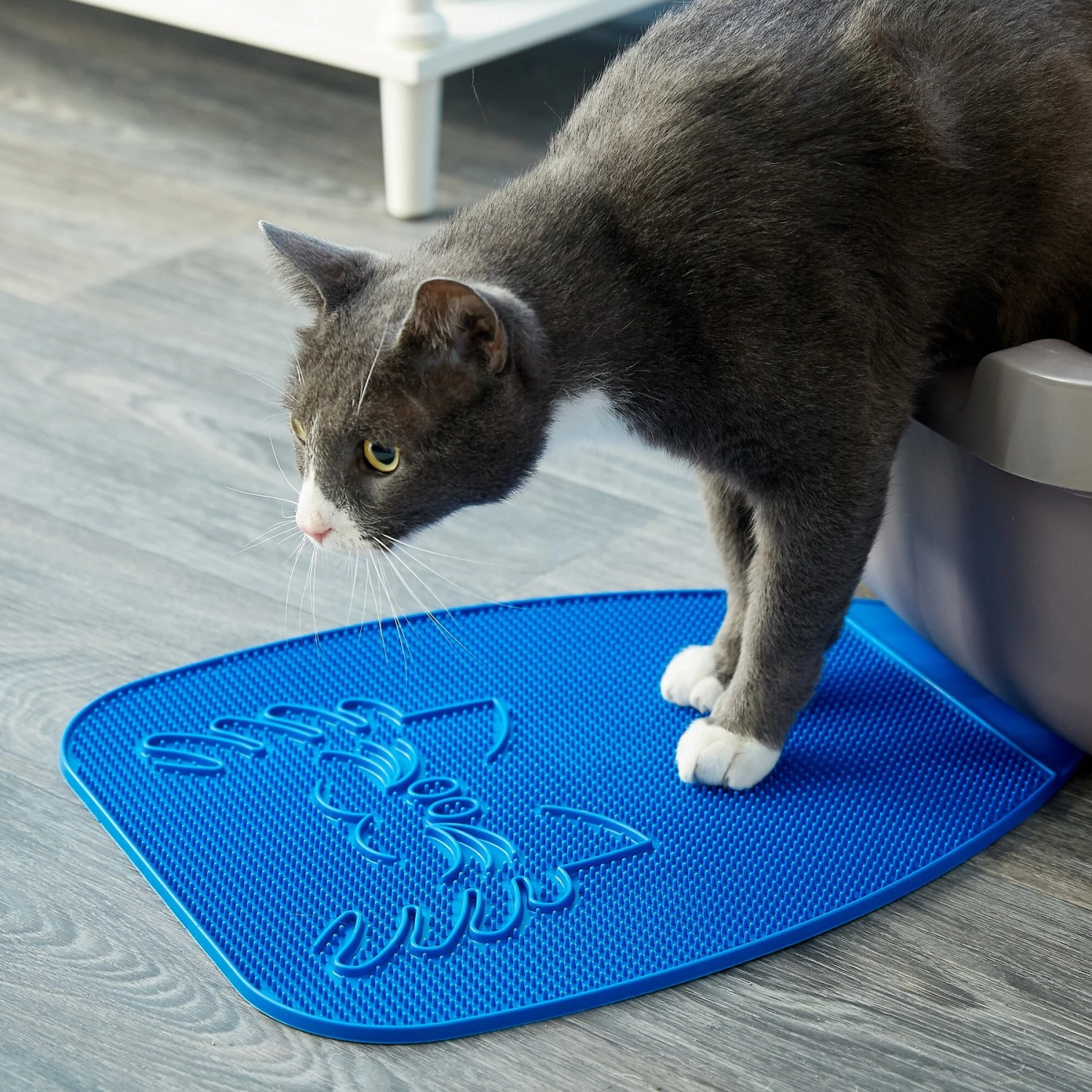 Van Ness Track-Less Litter Mat 4 Van Ness Track-Less Litter Mat - Image 2