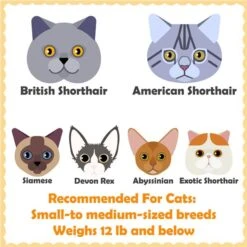 Yaheetech 69-in 4-Level Plush Cat Tree -Cat Supplies 705134 PT2. AC SS1800 V1686153897