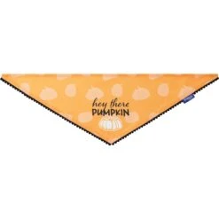 Frisco Hey There Pumpkin Dog & Cat Bandana -Cat Supplies 706374 PT3. AC SS1800 V1689282446