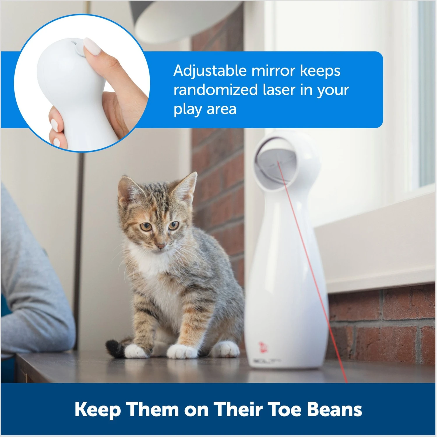 PetSafe Bolt Interactive Laser Cat Toy 7 PetSafe Bolt Interactive Laser Cat Toy - Image 5