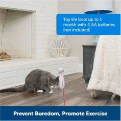 PetSafe Bolt Interactive Laser Cat Toy 15 PetSafe Bolt Interactive Laser Cat Toy -Cat Supplies 70843 PT5. AC SS1800 V1676317808