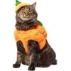 Frisco Pumpkin Ball Dog & Cat Costume -Cat Supplies 708902 MAIN. AC SS1800 V1689351821