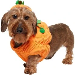 Frisco Pumpkin Ball Dog & Cat Costume -Cat Supplies 708902 PT2. AC SS1800 V1689351041