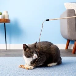 Ethical Pet Skinneeez Friend Teaser Wand Cat Toy With Catnip 9 Ethical Pet Skinneeez Friend Teaser Wand Cat Toy With Catnip -Cat Supplies 71317 PT5. AC SS1800 V1525718914