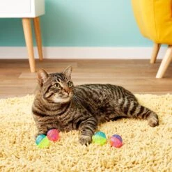 Ethical Pet Shimmer Balls Cat Toy 9 Ethical Pet Shimmer Balls Cat Toy -Cat Supplies 71329 PT5. AC SS1800 V1525718929