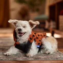 Frisco Dotted Dog & Cat Hoodie -Cat Supplies 718326 PT7. AC SS1800 V1692375977