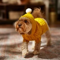 Frisco Sherpa Lined Chunky Cable Knit Dog & Cat Hooded Sweater -Cat Supplies 718374 PT7. AC SS1800 V1692379031