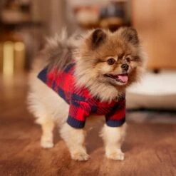 Frisco Fleece Lined Buffalo Plaid Mock Neck Dog & Cat Sweater 18 Frisco Fleece Lined Buffalo Plaid Mock Neck Dog & Cat Sweater -Cat Supplies 718470 PT7. AC SS1800 V1692378099