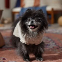 Frisco Sherpa Lined Chunky Cable Knit Dog & Cat Sweater 16 Frisco Sherpa Lined Chunky Cable Knit Dog & Cat Sweater -Cat Supplies 718518 PT7. AC SS1800 V1692378338