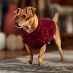 Frisco Cozy Textured Chenille Dog & Cat Sweater 16 Frisco Cozy Textured Chenille Dog & Cat Sweater -Cat Supplies 718614 PT7. AC SS1800 V1692378337