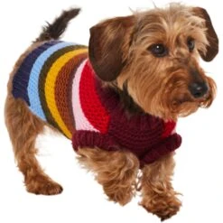 Frisco Chunky Knit Multi-Stripe Dog & Cat Sweater 12 Frisco Chunky Knit Multi-Stripe Dog & Cat Sweater -Cat Supplies 718662 PT2. AC SS1800 V1703184683