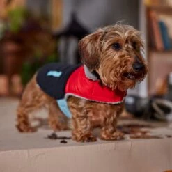 Frisco Medium Weight Retro Colorblock Mixed Media Dog & Cat Coat 18 Frisco Medium Weight Retro Colorblock Mixed Media Dog & Cat Coat -Cat Supplies 719462 PT7. AC SS1800 V1692379031