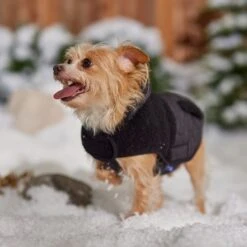 Frisco Heavy Weight Dog & Cat Quilted Hybrid Coat With Sherpa Lining -Cat Supplies 719918 PT7. AC SS1800 V1692376306