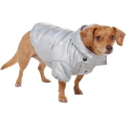 Frisco Heavy Weight Iridescent Quilted Dog & Cat Hooded Puffer Coat -Cat Supplies 720038 PT2. AC SS1800 V1703184629
