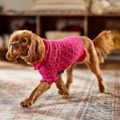 Frisco Ruffle Knit Pointelle Dog & Cat Turtleneck Sweater -Cat Supplies 720646 PT7. AC SS1800 V1692379033