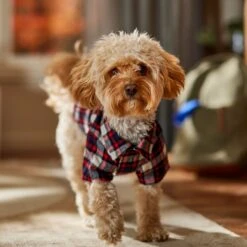 Frisco Red & Blue Plaid Dog & Cat Flannel Shirt -Cat Supplies 720838 PT7. AC SS1800 V1693400998