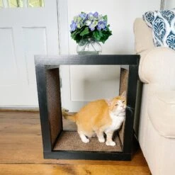 Designer Pet Products Bailey Cat Scratcher End Table -Cat Supplies 722862 PT4. AC SS1800 V1671037947