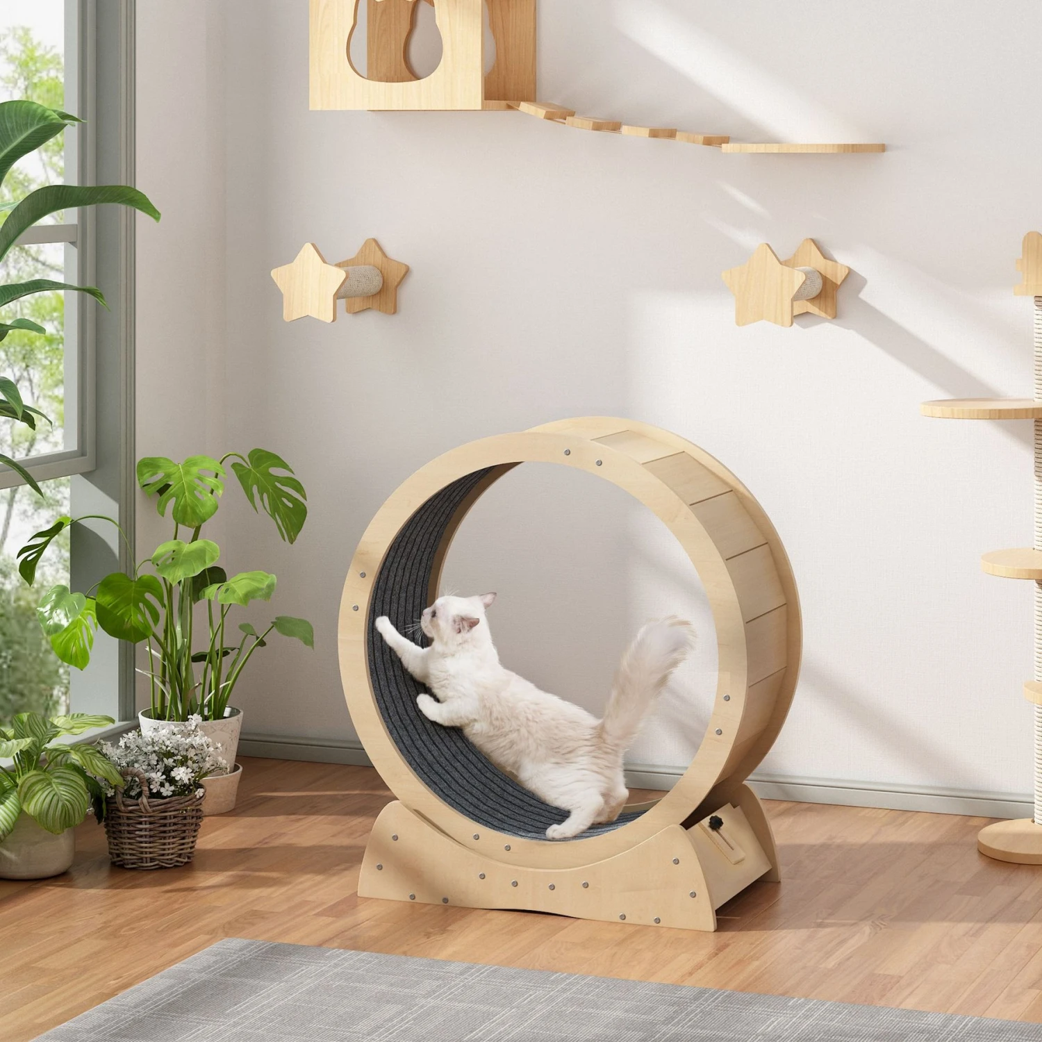 Coziwow Exercise Wheel With Lock & Teaser Cat Treadmill 3 Coziwow Exercise Wheel With Lock & Teaser Cat Treadmill