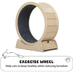 Coziwow Exercise Wheel With Lock & Teaser Cat Treadmill 14 Coziwow Exercise Wheel With Lock & Teaser Cat Treadmill -Cat Supplies 731054 PT3. AC SS1800 V1686337888