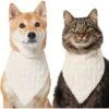 Frisco Solid Faux Fur Dog & Cat Bandana -Cat Supplies 733878 MAIN. AC SS1800 V1692379951