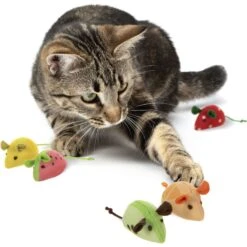 SmartyKat Skitter Slices Plush Cat Toy With Catnip, 5 Count -Cat Supplies 736894 PT3. AC SS1800 V1672842488