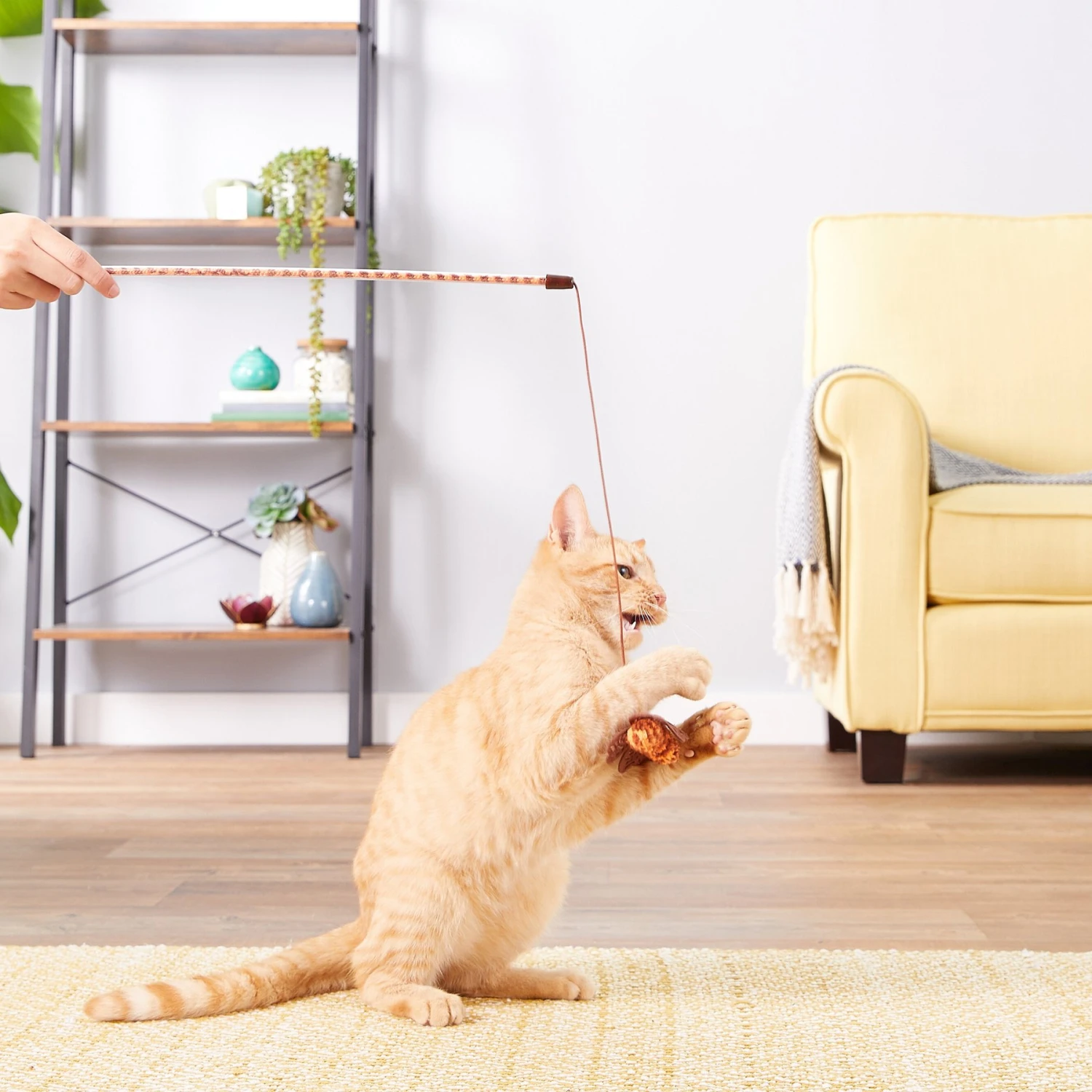 JW Pet Cataction Butterfly Wand Cat Toy 4 JW Pet Cataction Butterfly Wand Cat Toy - Image 2