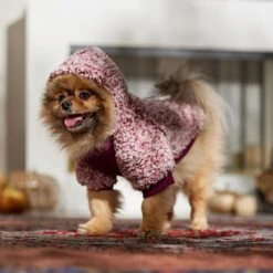 Frisco Textured Wubby 2-Tone Fleece Dog & Cat Hoodie -Cat Supplies 742406 PT7. AC SS1800 V1692378336