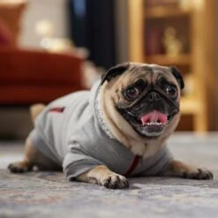 Frisco Sweatshirt Fleece Dog & Cat Hoodie With Sherpa Lining -Cat Supplies 742550 PT7. AC SS1800 V1692378690