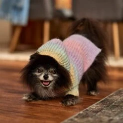 Frisco Soft Multi Stripe Ombre Dog & Cat Hooded Sweater -Cat Supplies 742838 PT7. AC SS1800 V1692376365